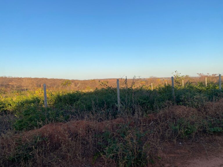 Imagem do WhatsApp de 2025-10-17 à(s) 16.51.52_4832e607