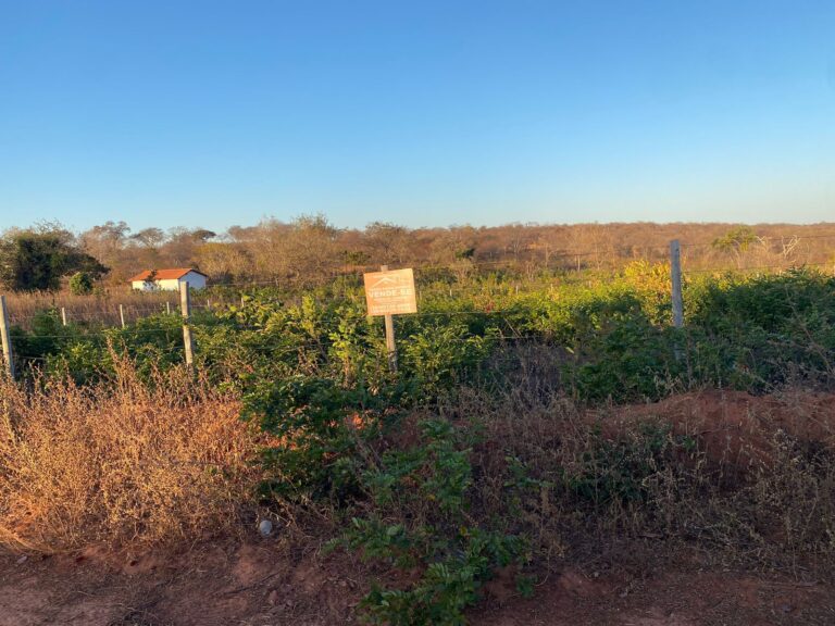 Imagem do WhatsApp de 2025-10-17 à(s) 16.51.53_40eea72b