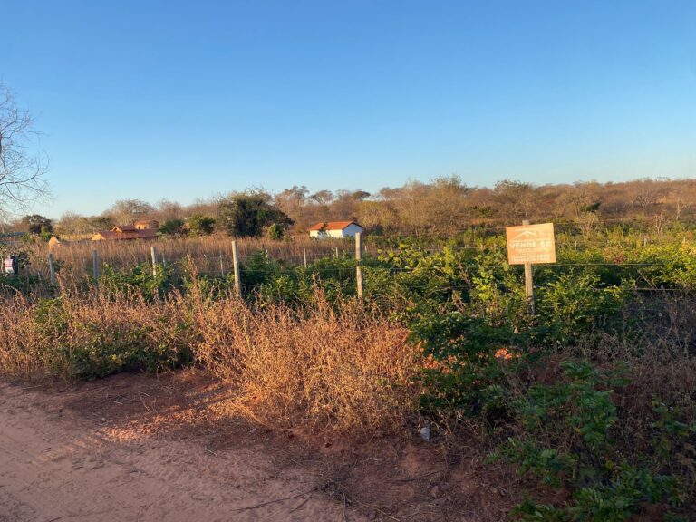 Imagem do WhatsApp de 2025-10-17 à(s) 16.51.53_92220f4e