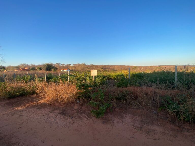 Imagem do WhatsApp de 2025-10-17 à(s) 16.51.53_96404a49